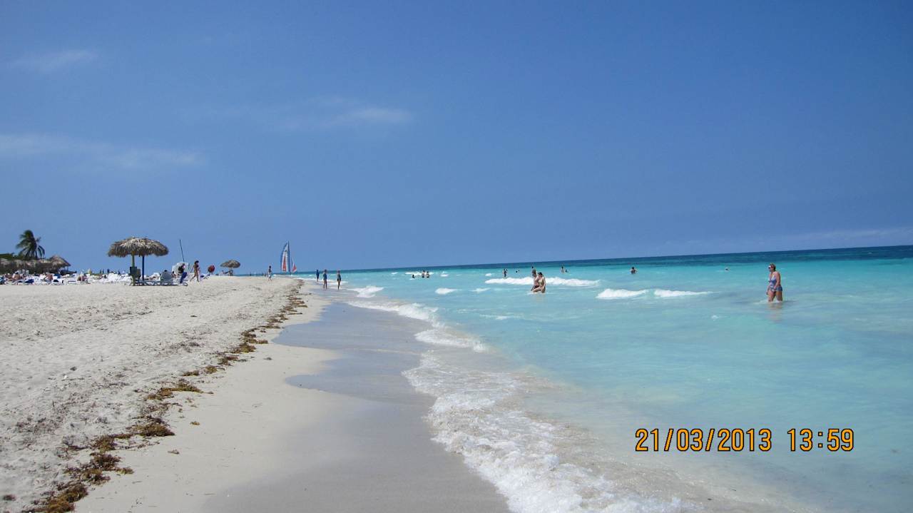 Bißchen Seegras  Iberostar Origin Laguna Azul