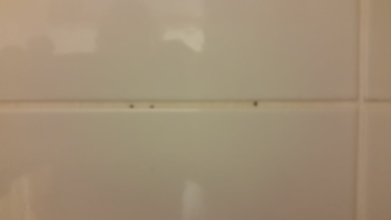 Zimmer Best Western Plus Hotel Dresden City