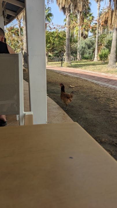 Gastro Seaden Sea World Resort & Spa