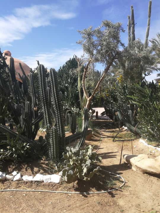 Gartenanlage Dream Lagoon Resort & Aqua Park