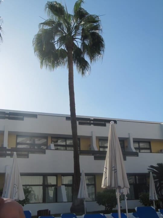 Hotel Iberostar Waves Las Dalias