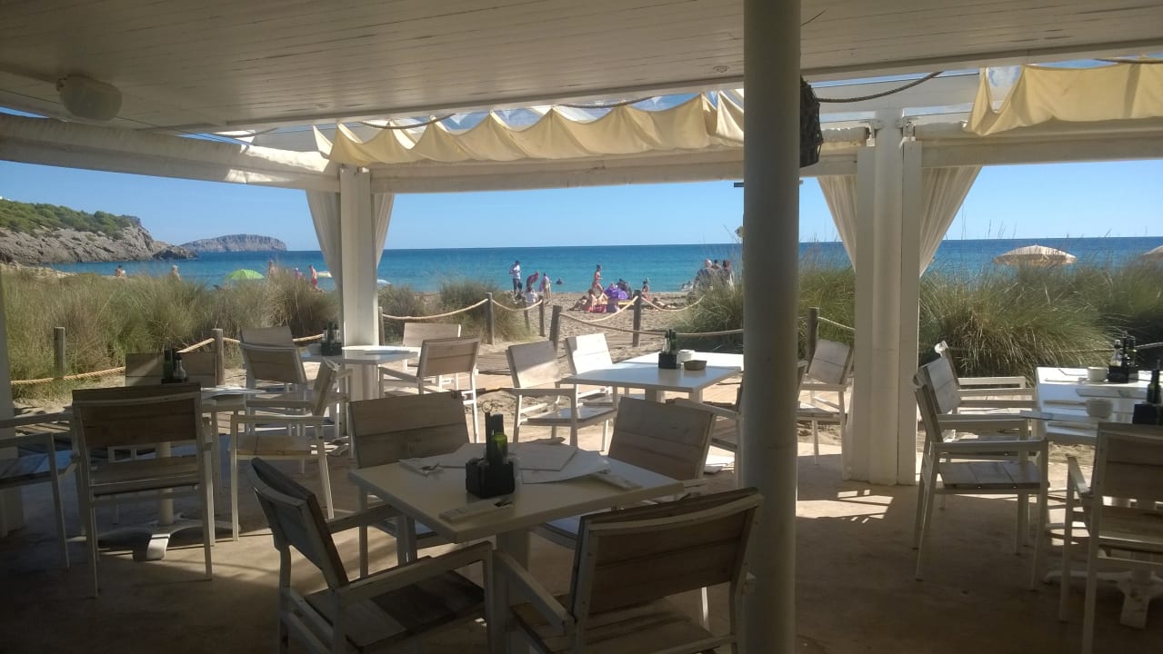 Gastro Moon Dreams Coral Beach