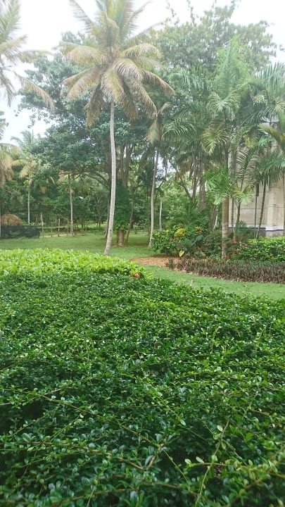 Garten Wyndham Alltra Samana