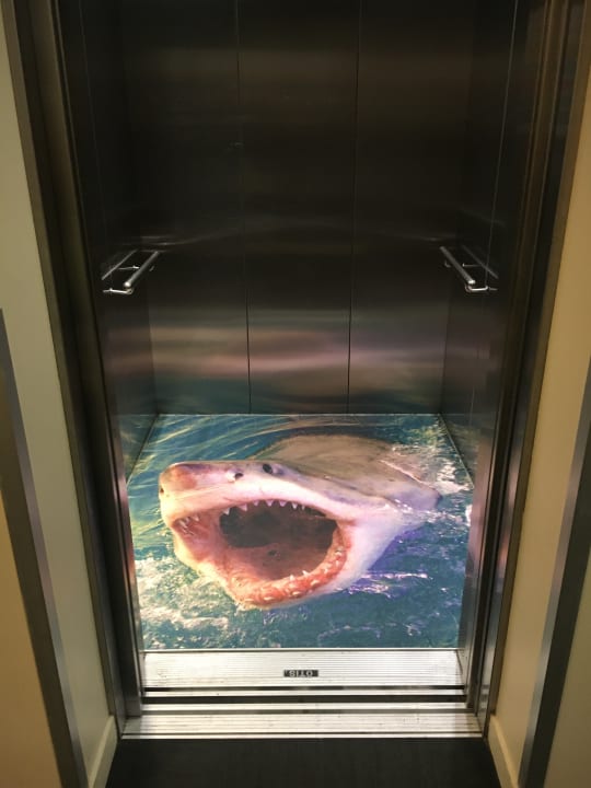 Sonstiges Hotel YHA Brisbane City