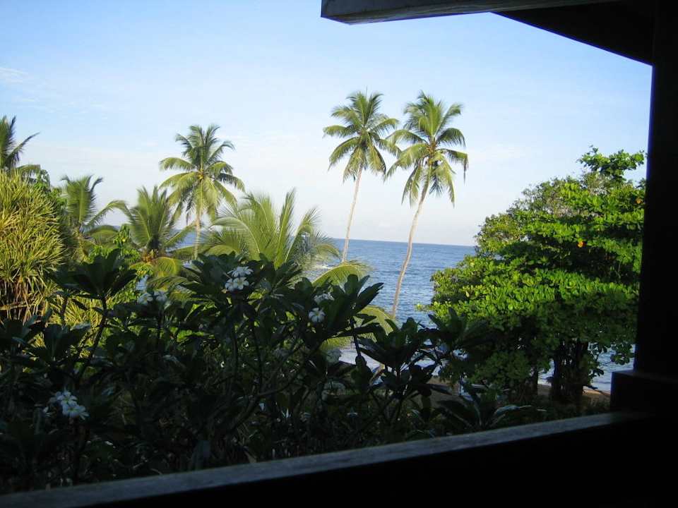 Vom Balkon Earl’s Reef Beruwala
