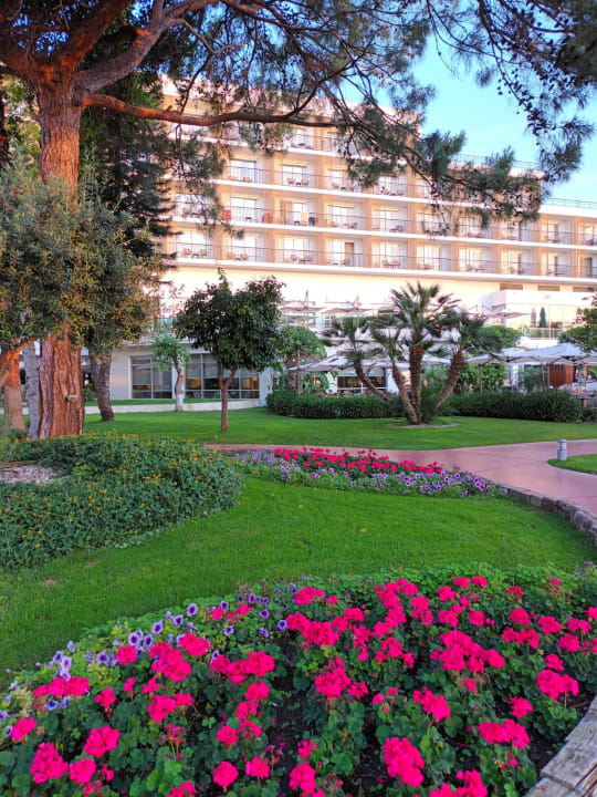 Gartenanlage TUI MAGIC LIFE Beldibi +16