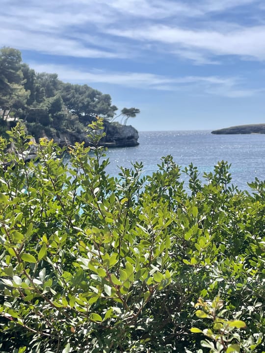 Ausblick ROBINSON CALA SERENA