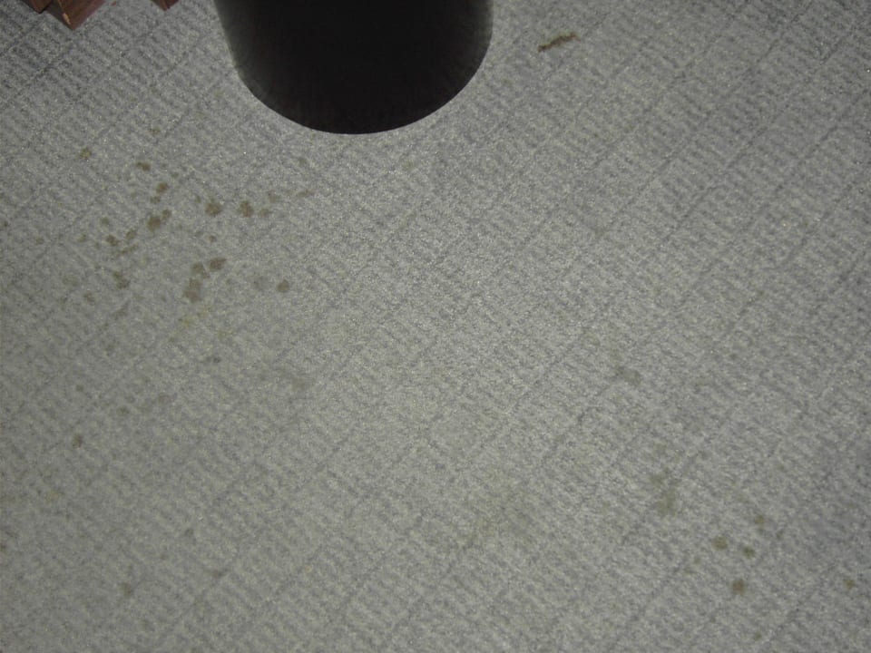 Ekel auf dem Teppichboden Rembrandt Square Hotel Amsterdam