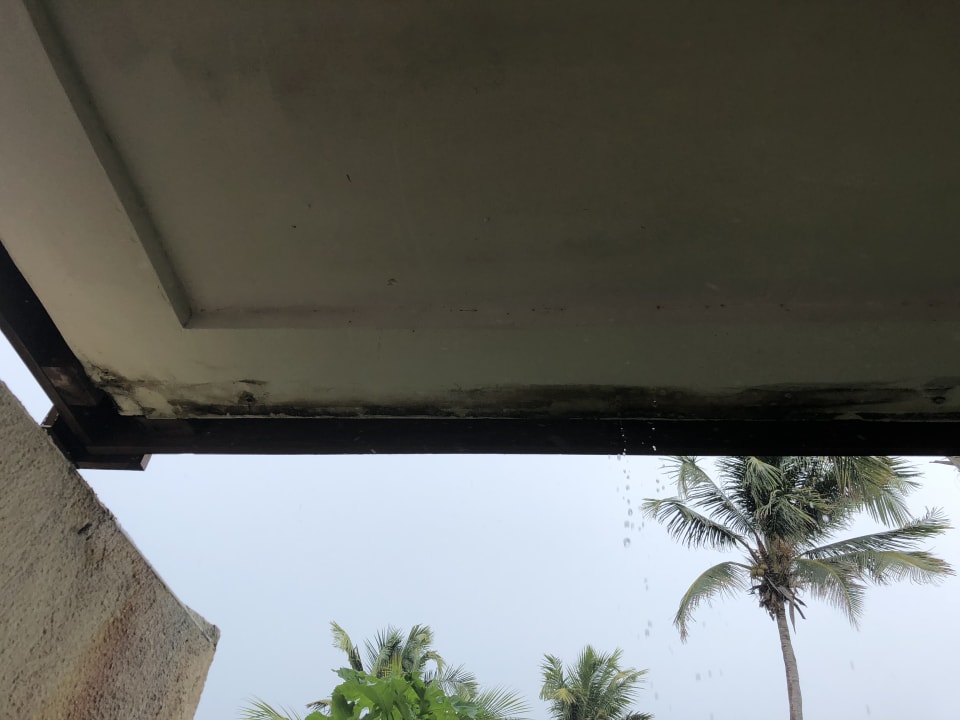 Zimmer Melia Buenavista