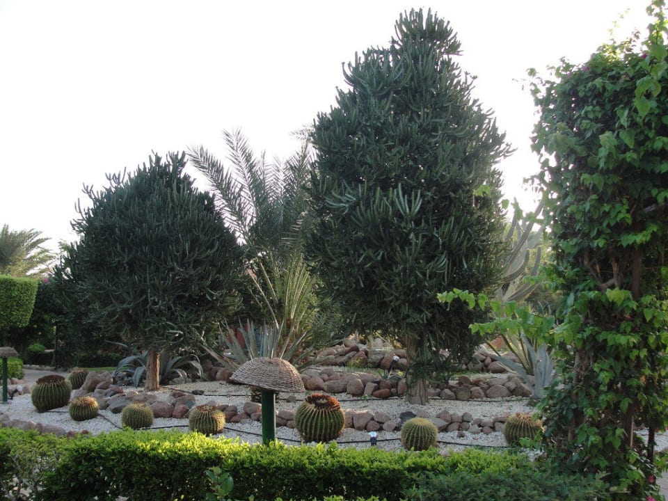 Ogród Hotel Nubian Village