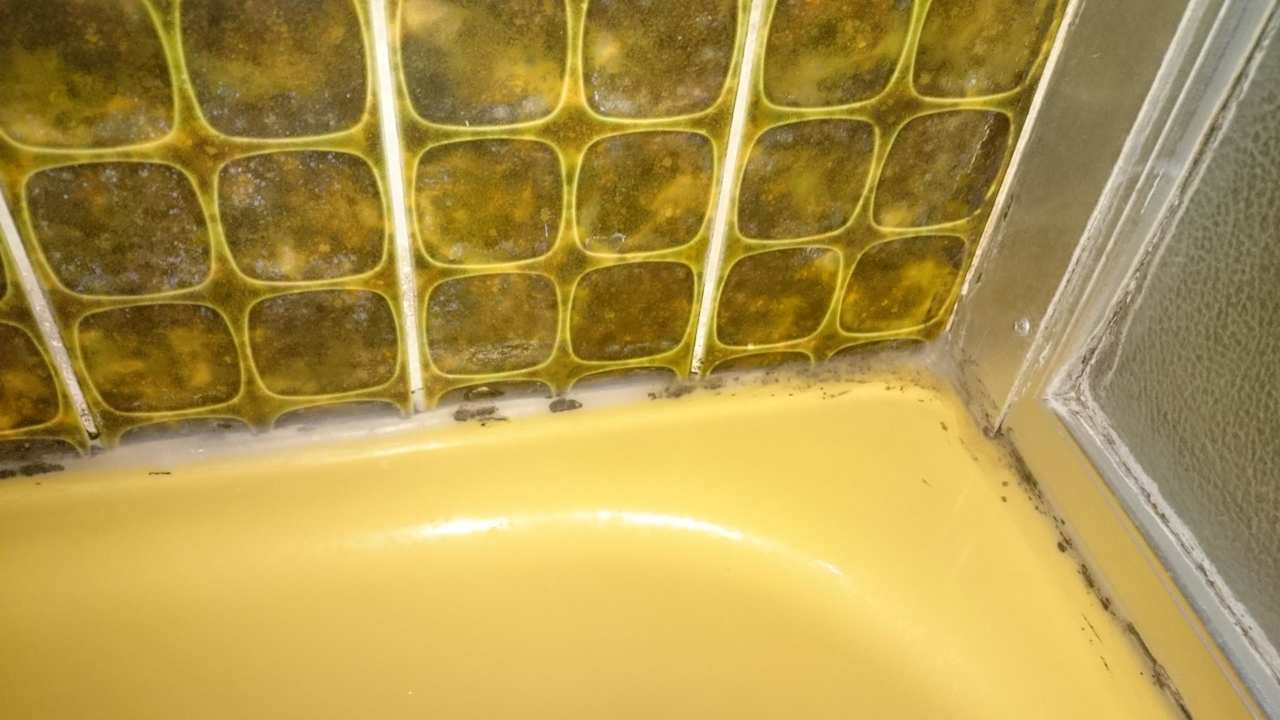 Schimmel Dusche Gasthof-Hotel Krone