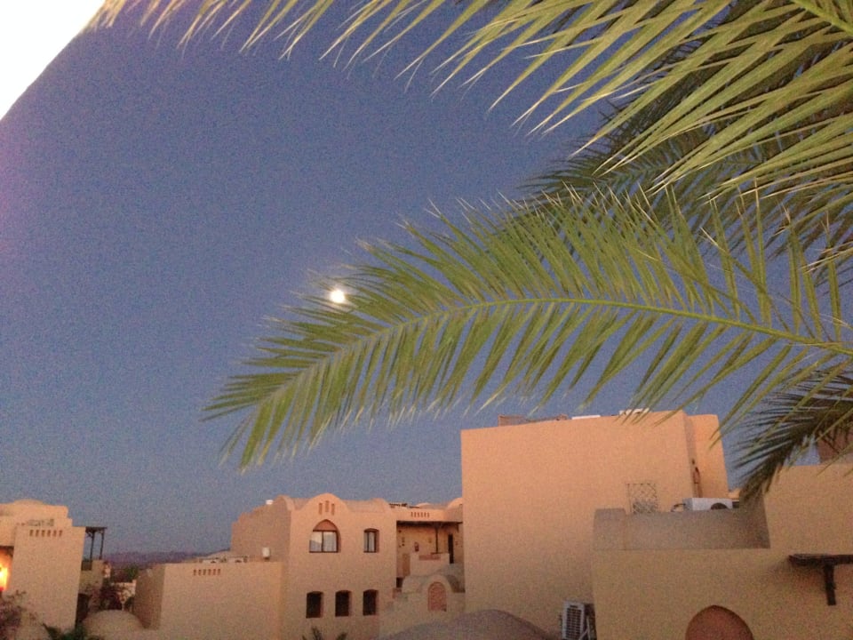 Seitlich vom Zimmer  Steigenberger Coraya Beach - Adults only