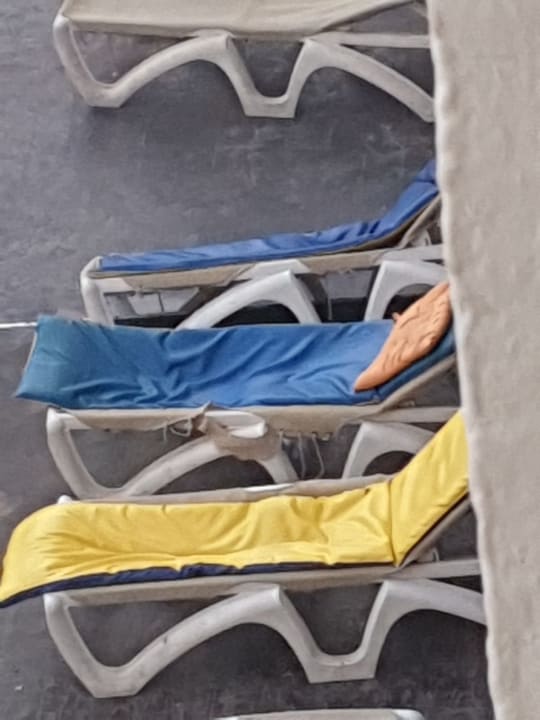 Pool Sousse City & Beach Hotel