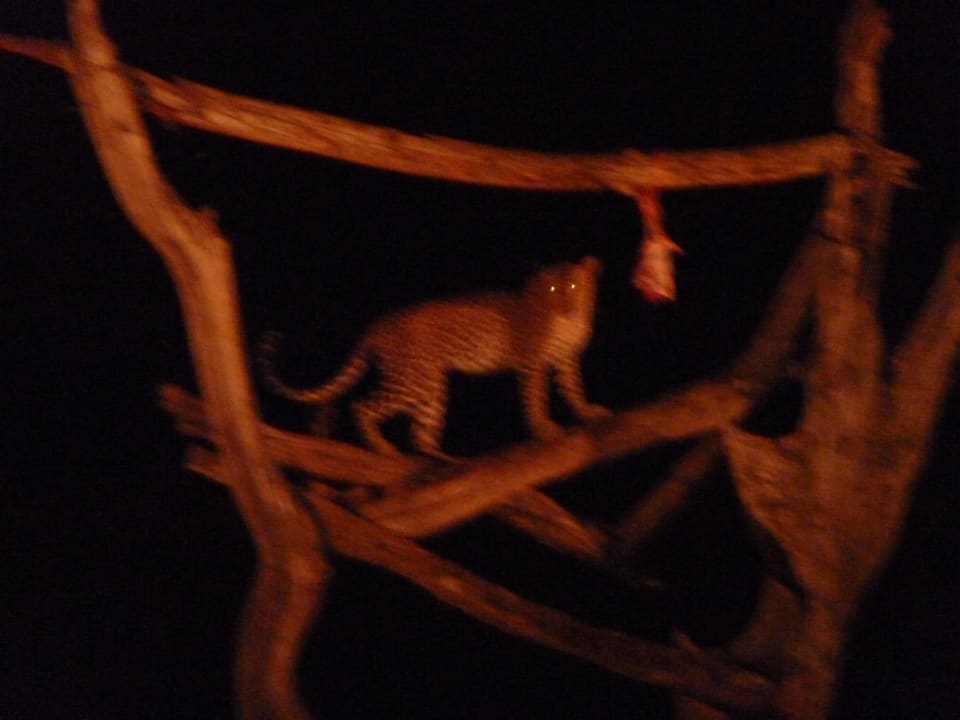 Von der Terrasse Ngulia Lodge Ngulia Safari Lodge