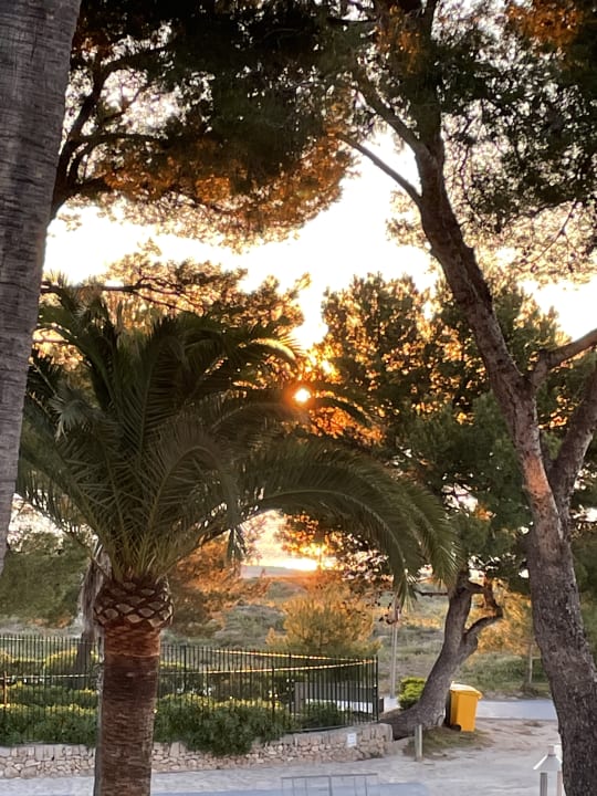 Ausblick allsun App.-Hotel Orquidea Playa