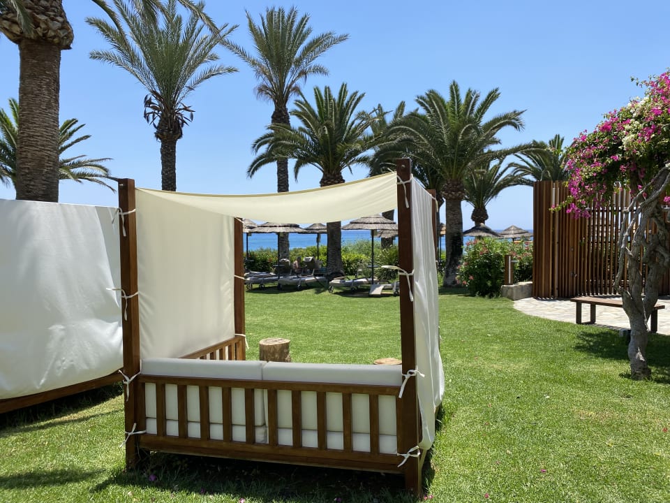 Ausblick Hotel Alion Beach Agia Napa Ayia Napa • Holidaycheck Südzypern Zypern