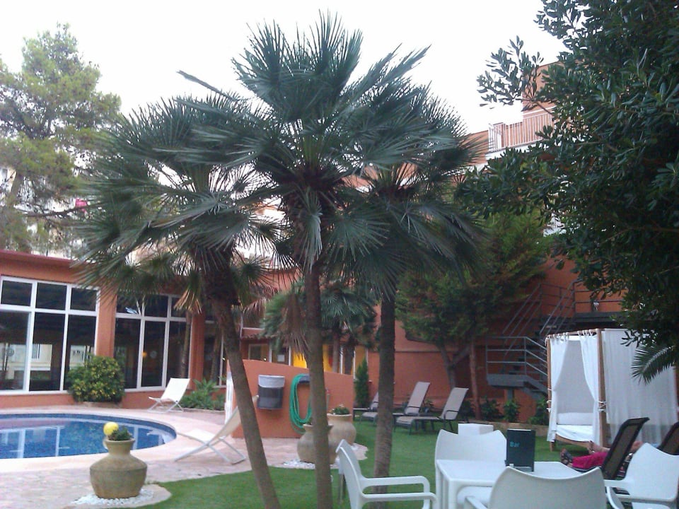 Ruhe Insel  BQ Bulevar Paguera - Adults only