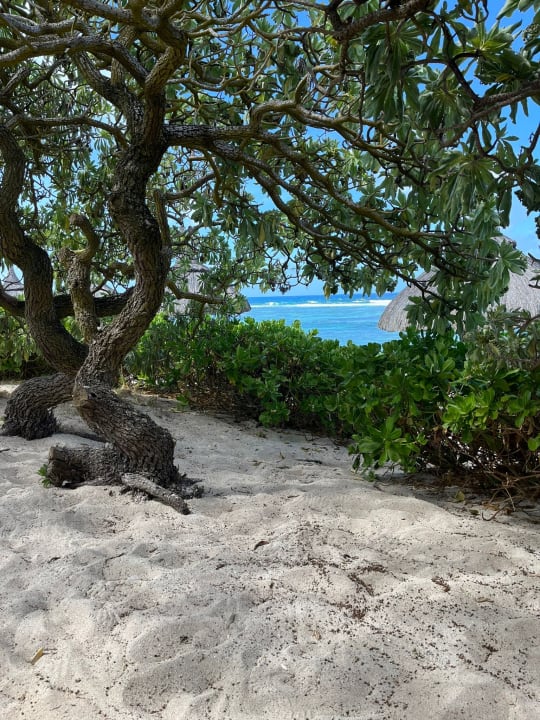 Gartenanlage Radisson Blu Poste Lafayette Resort & Spa - Adults only