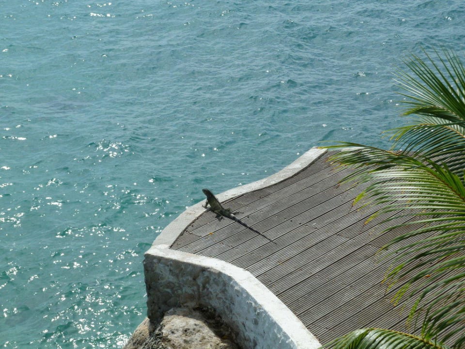 Terrasse Sun Reef Village on Sea