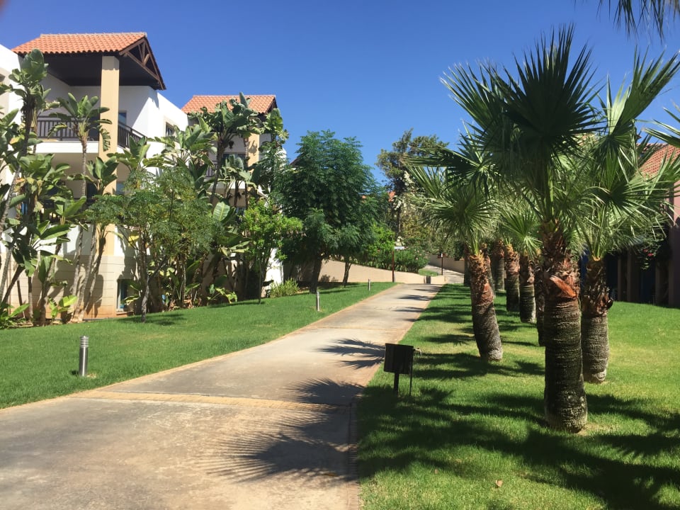 Garten ROBINSON CYPRUS