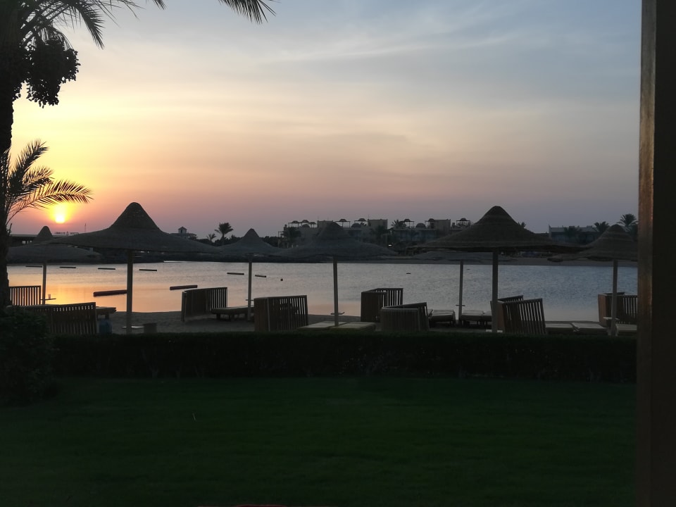 Ausblick Desert Rose