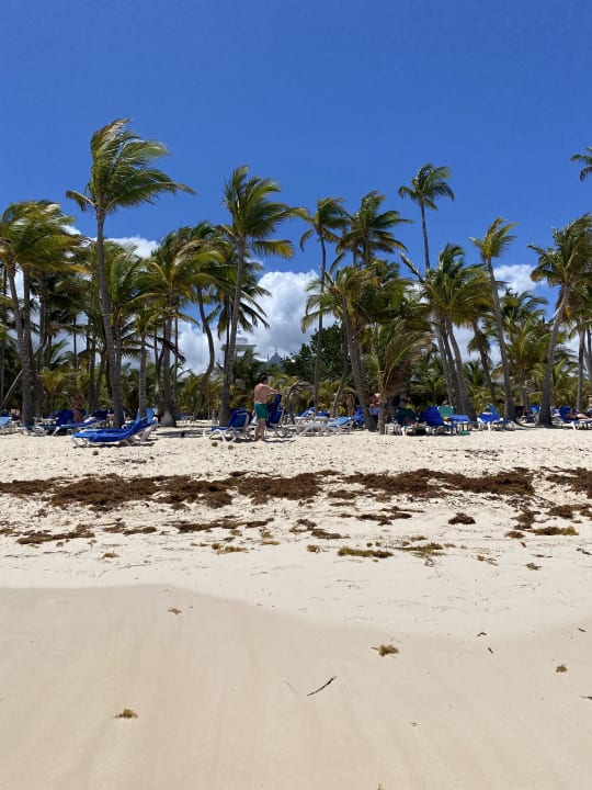 Strand Hotel Riu Palace Punta Cana