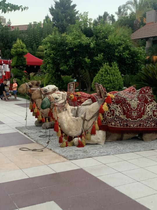 Außenansicht TUI KIDS CLUB Felicia Village