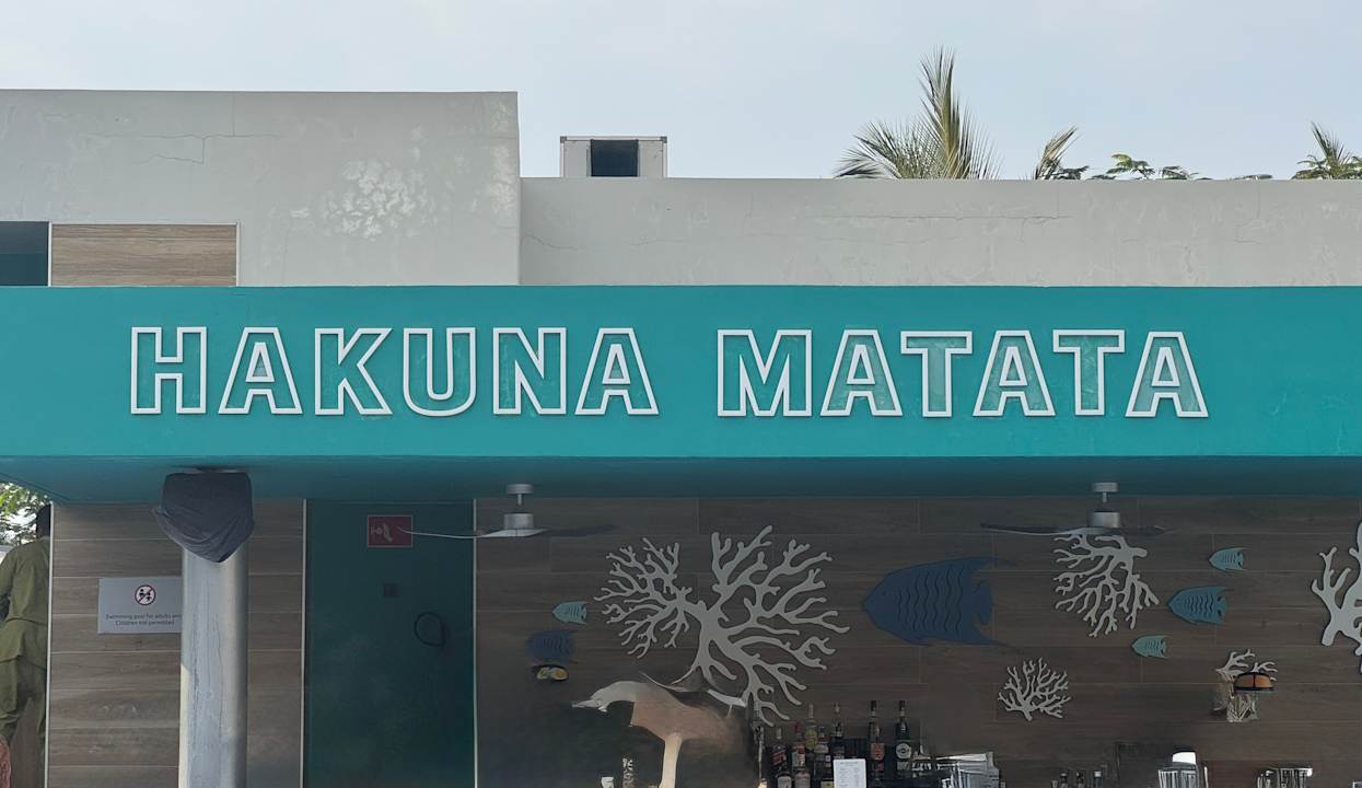 Pool Hotel Riu Jambo