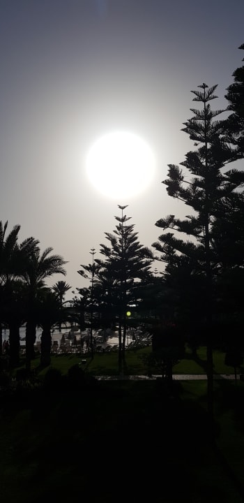 Gartenanlage Iberostar Waves Founty Beach