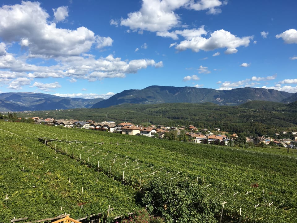 Ausblick Apartments Weingut Oberpreyhof