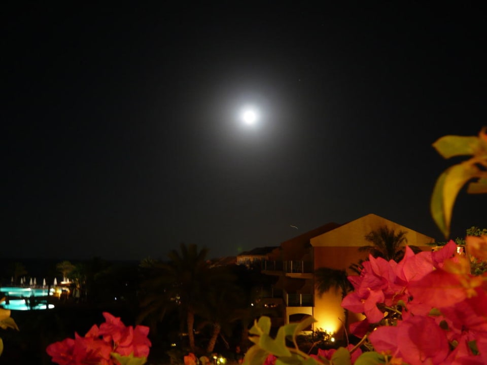 Vollmond Mövenpick Resort & Spa El Gouna