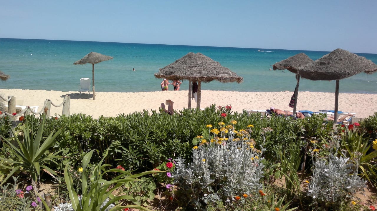 Blick vom Hotel auf den Strand TUI MAGIC LIFE Africana