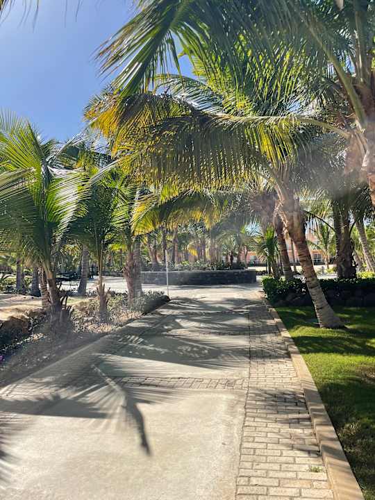 Gartenanlage Hotel Riu Cabo Verde