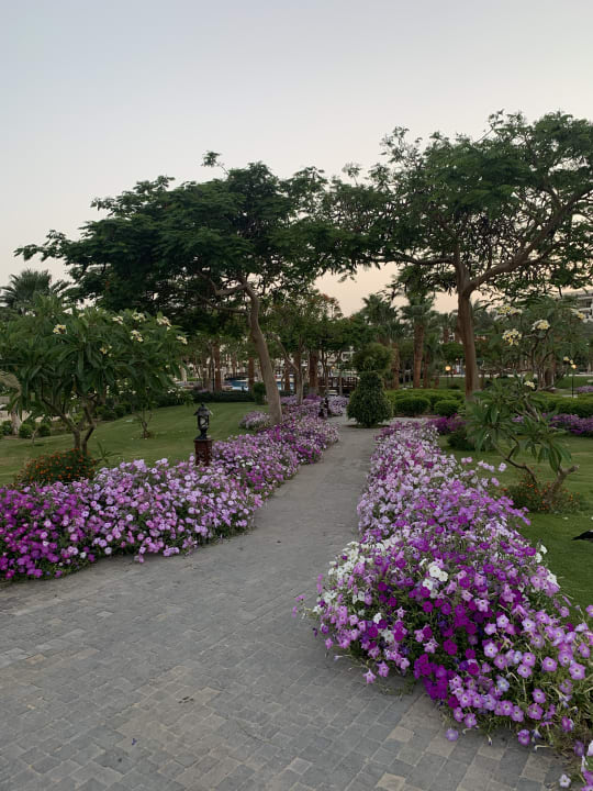 Gartenanlage Steigenberger Aqua Magic