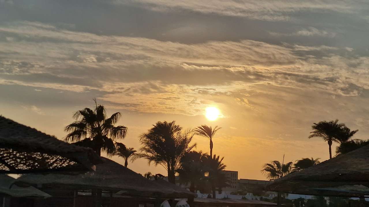 Gartenanlage Shams Safaga Resort