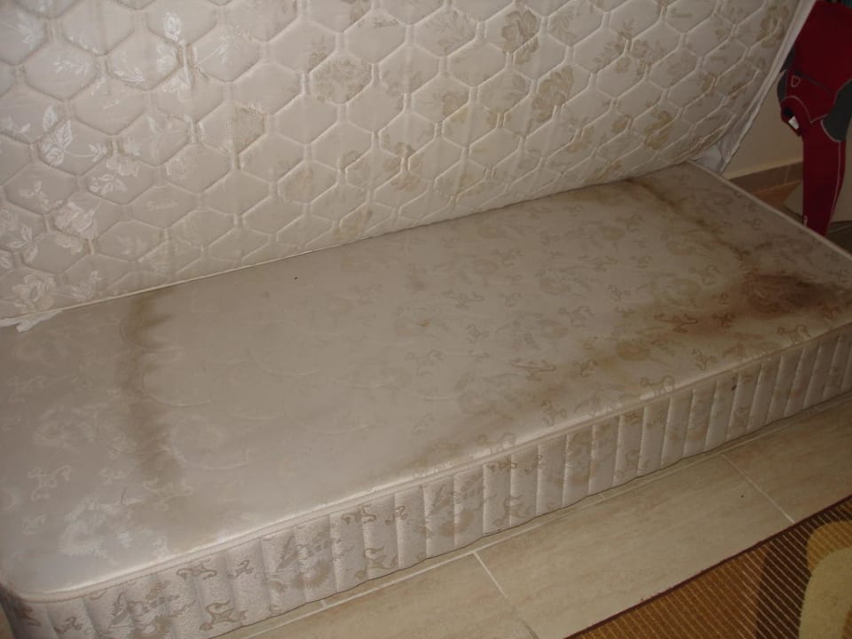 Moisissure Duja Bodrum