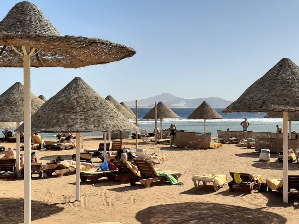 Strand Parrotel Beach Resort