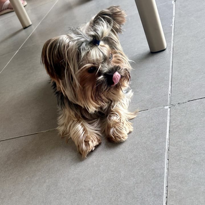 Sonstiges Dream World Aqua Hotel