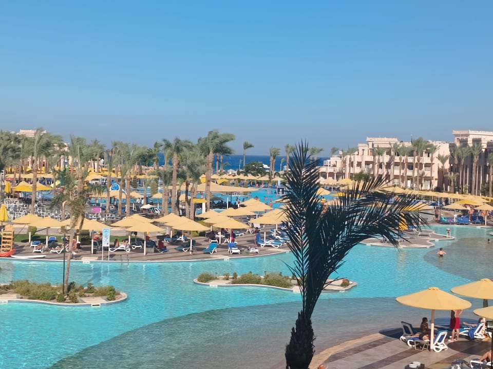 Pool Pickalbatros Palace Resort
