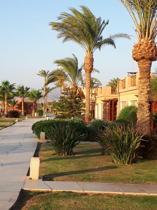 Gartenanlage Shams Prestige Abu Soma-Adults Only