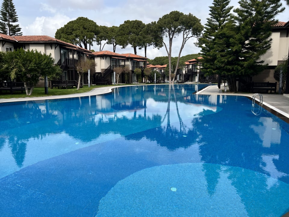 Außenansicht Papillon Ayscha