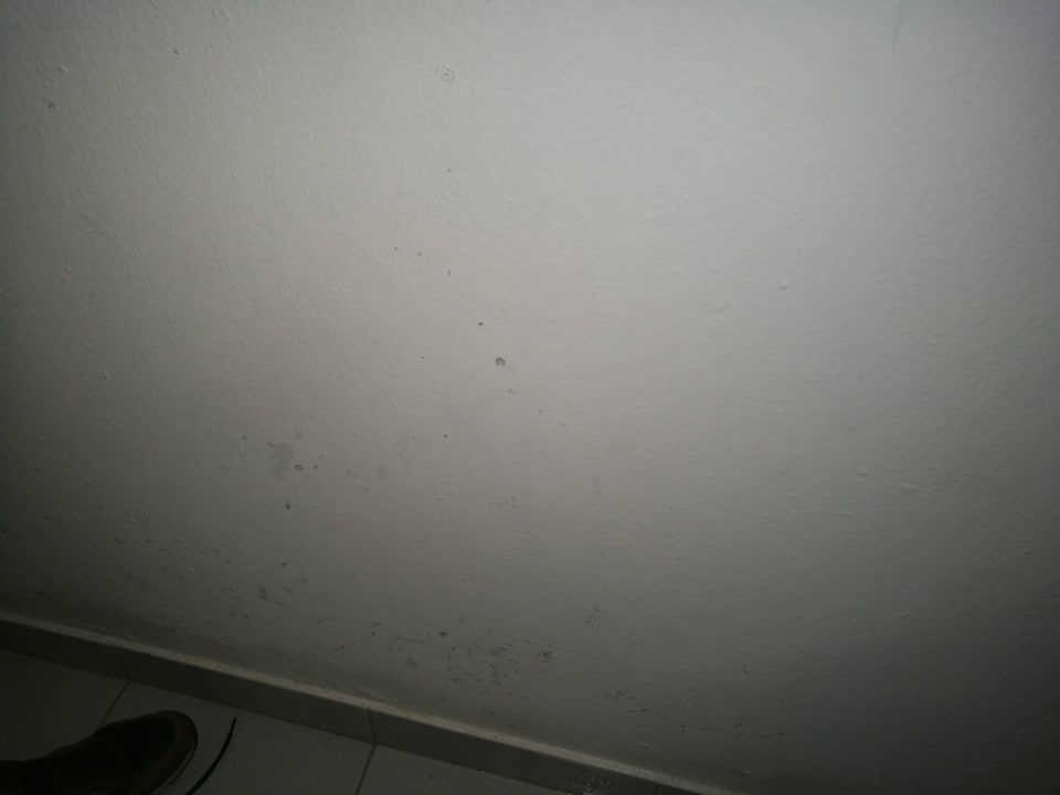 Wand mit Schimmel Hotel Viva Dominicus Beach by Wyndham - All Inclusive Resort