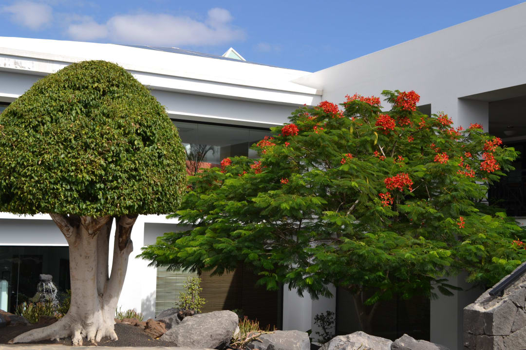 Das Restaurant des Hotels allsun App.-Hotel Albatros