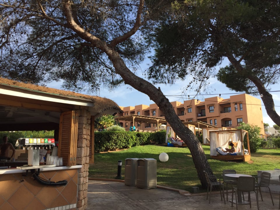 Gartenanlage Insotel Club Tarida Playa
