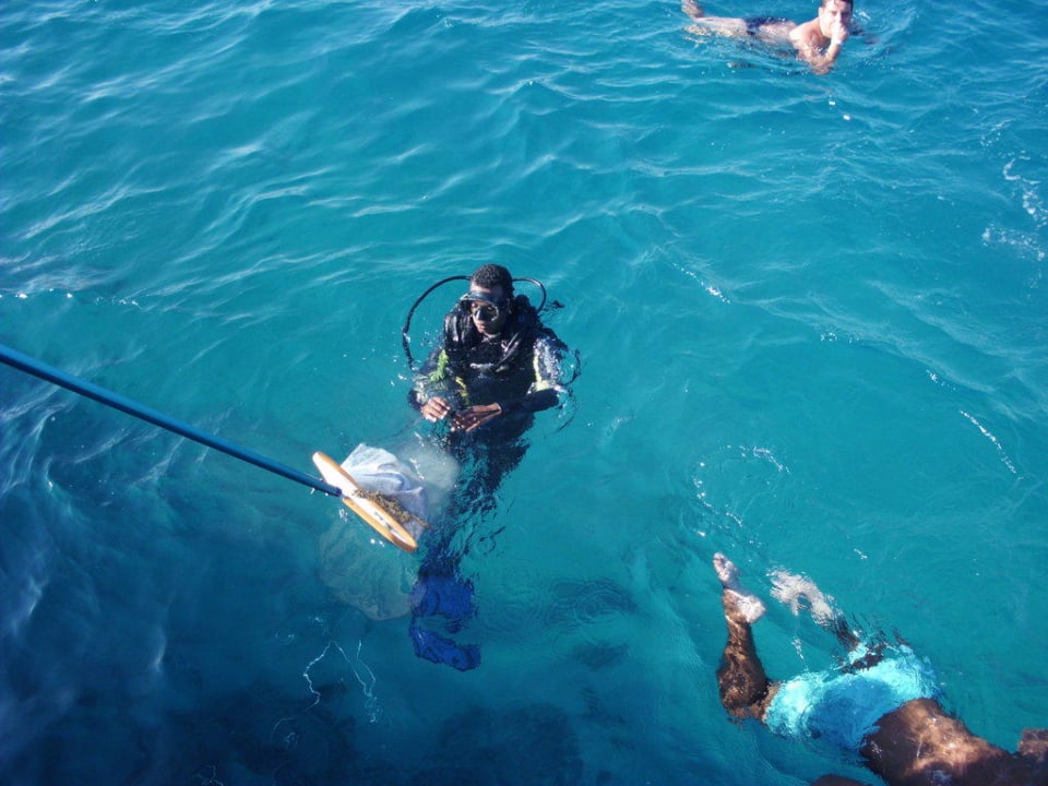 Überall und immer wird sauber gemacht Stella Beach Resort & Spa Makadi Bay