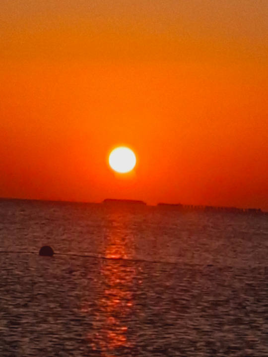 Strand Sentido Caribbean World Soma Bay