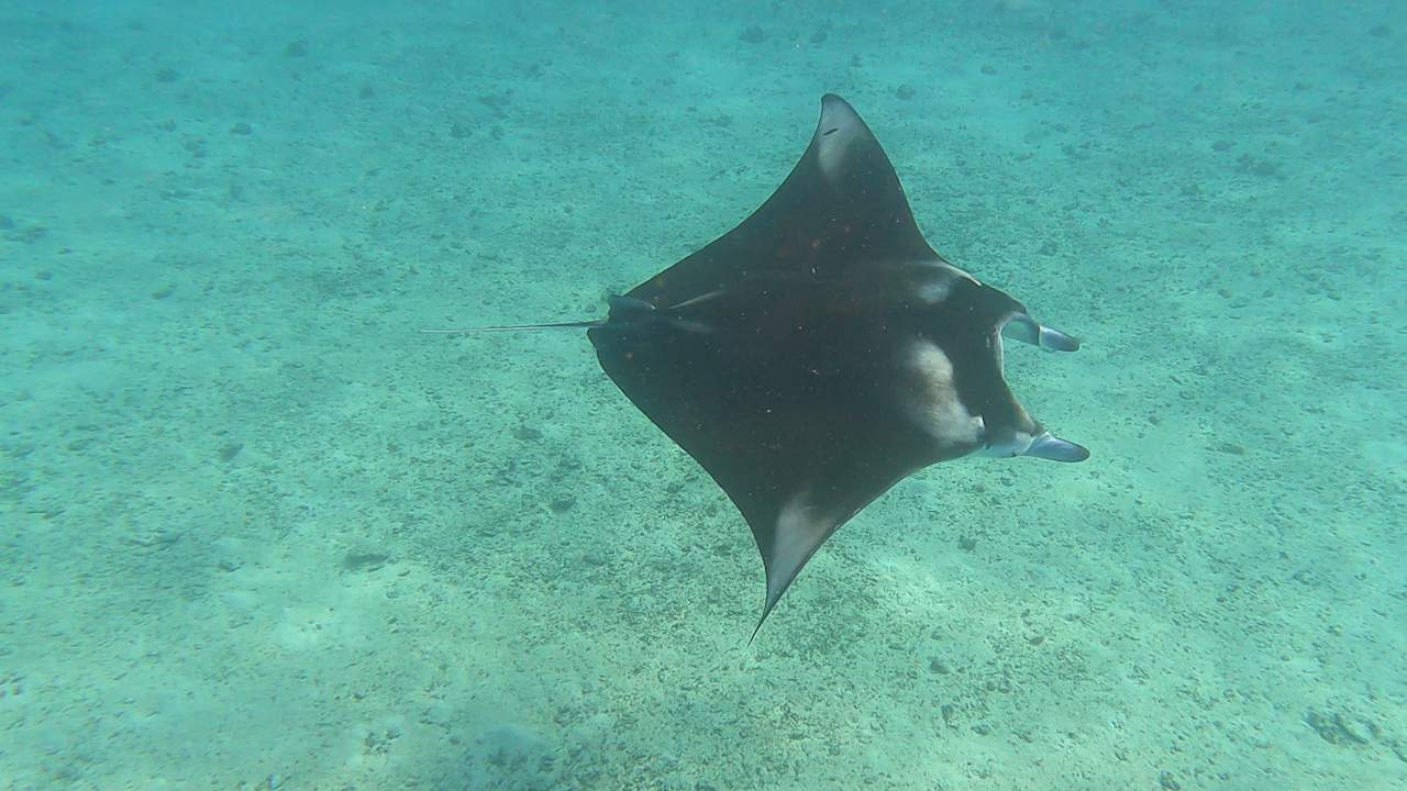 Sonstiges Kuredu Island Resort & Spa