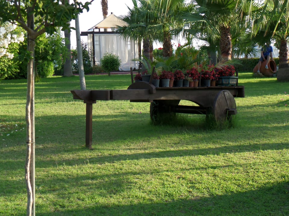 Gartenanlage Saphir Resort & Spa