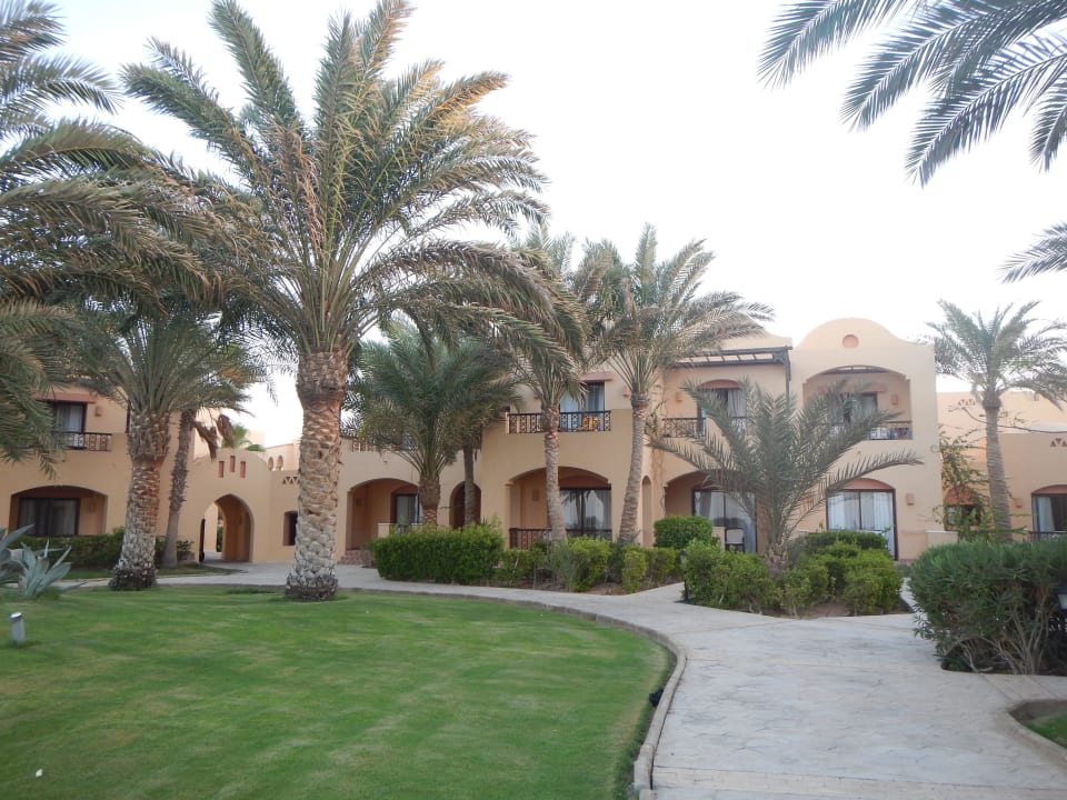 Garten im Coraya Beach Steigenberger Coraya Beach - Adults only