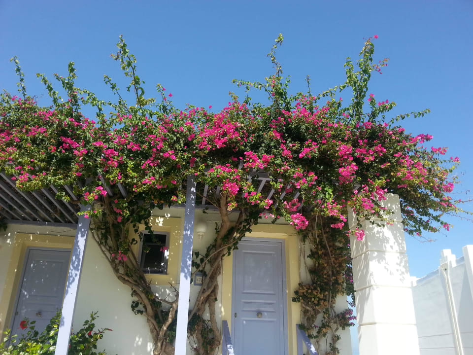 Bitte eintreten  Hotel Serita Beach